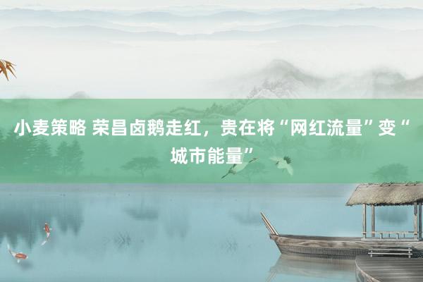 小麦策略 荣昌卤鹅走红，贵在将“网红流量”变“城市能量”