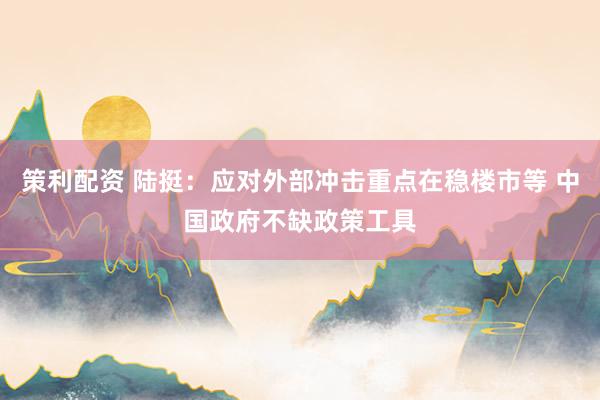 策利配资 陆挺：应对外部冲击重点在稳楼市等 中国政府不缺政策工具