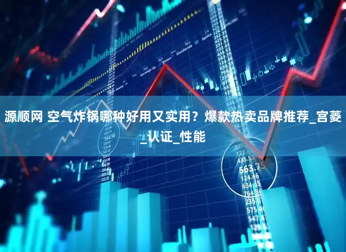 源顺网 空气炸锅哪种好用又实用？爆款热卖品牌推荐_宫菱_认证_性能