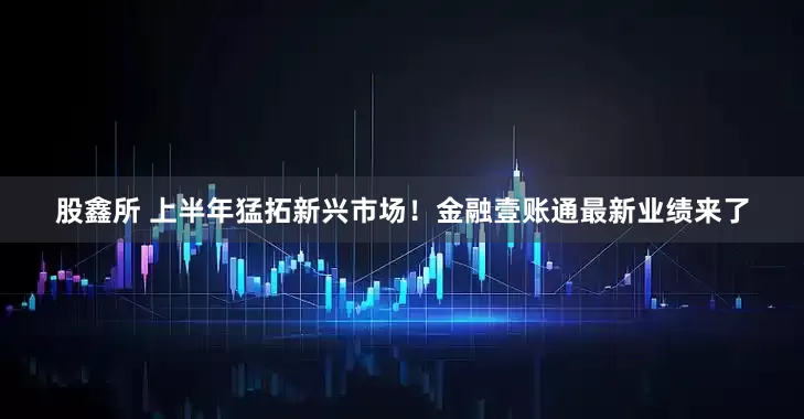 股鑫所 上半年猛拓新兴市场！金融壹账通最新业绩来了
