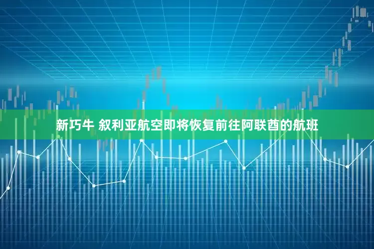 新巧牛 叙利亚航空即将恢复前往阿联酋的航班